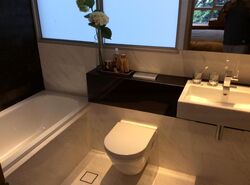 RV Residences (D10), Condominium #458929961